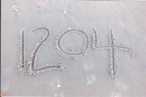 topsail20134.jpg