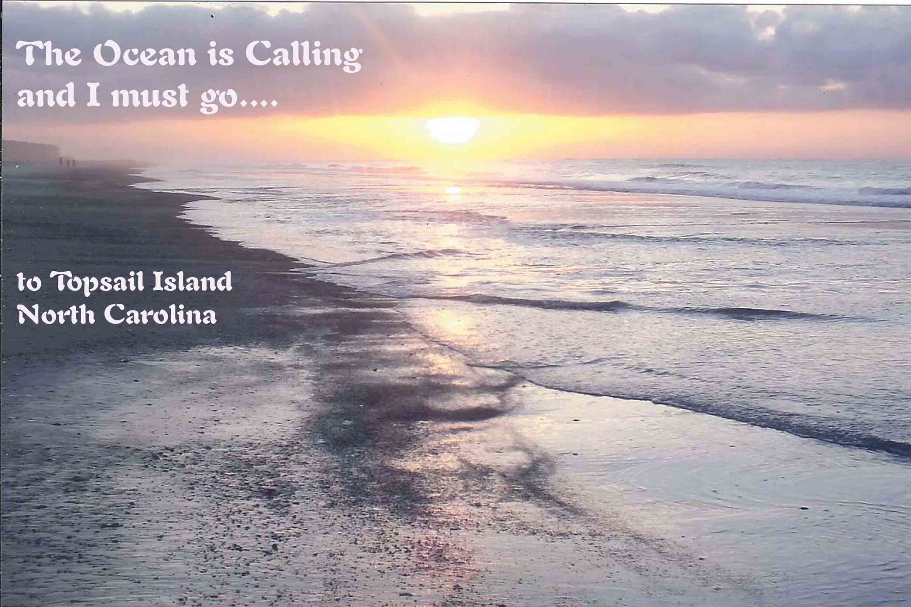 theoceaniscallingtosai.jpg
